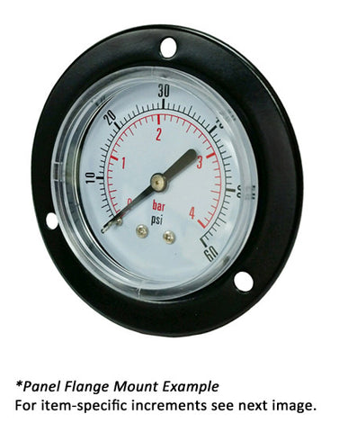 2.5" Dry Gauge - Center bank w/ Flange (0 - 30 psi) - CDS-1P-002E