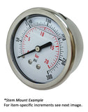 2.5" Gauge - Center Back (30"Hg - 0 psi) - Liquid-filled - CF1V-000D