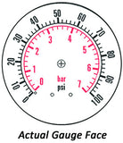 2.5" Dry Gauge - Center bank w/ Flange (0 - 100 psi) - CDS-1P-007E