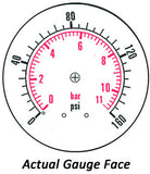 2.5" Dry Gauge - Bottom Mount (0 - 160 psi) - CDS-1P-010A