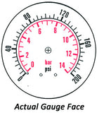 2.5" Dry Gauge - Bottom Mount (0 - 200 psi) - CDS-1P-015A