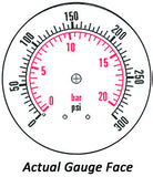 2.5" Dry Gauge - Center bank w/ Flange (0 - 300 psi) - CDS-1P-020E