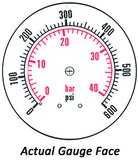 2.5" Dry Gauge - Center bank w/ Flange (0 - 600 psi) - CDS-1P-040E