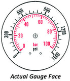 2.5" Dry Gauge - Center bank w/ Flange (0 - 1500 psi) - CDS-1P-100E
