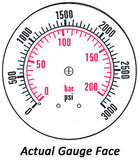 2.5" Dry Gauge - Center bank w/ Flange (0 - 3000 psi) - CDS-1P-210E