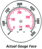 2.5" Dry Gauge - Center bank w/ Flange (0 - 6000 psi) - CDS-1P-420E