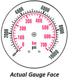 2.5" Gauge - Center bank w/ Flange (0 - 10000 psi) - Liquid-filled - CF1P-700E