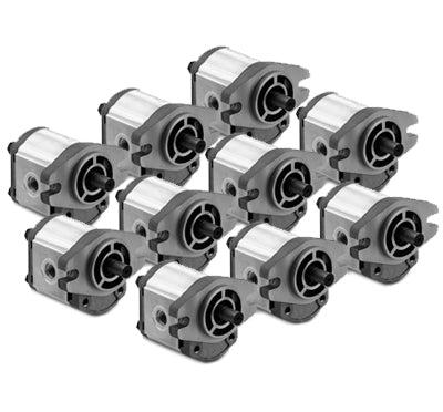 "BULK BUY" 10-pack - Hydraulic Gear Pump - GP-F10-80-P-A